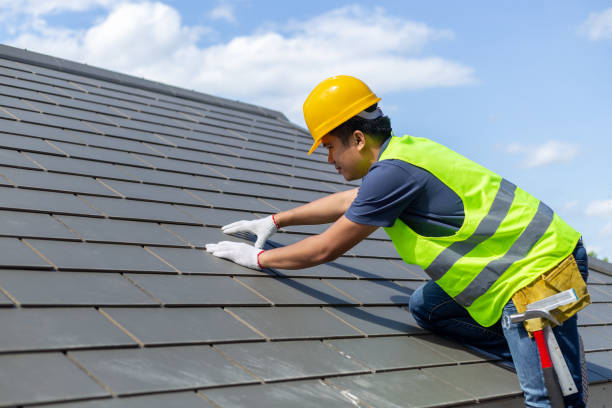 Best Roof Gutter Cleaning  in Fairview, TX